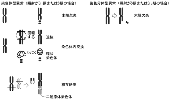 }PV@F̌^ُƐF̌^ُ