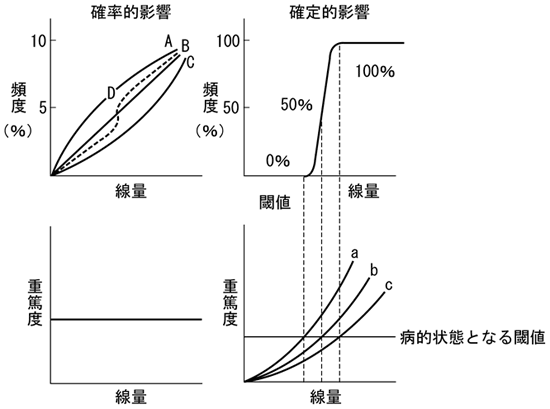 図21 確率的影響と確定的影響