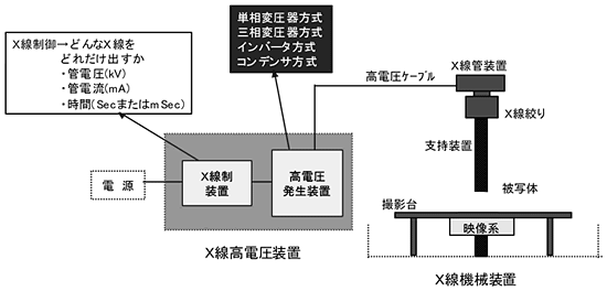 }PV@du̎ނƊ{\